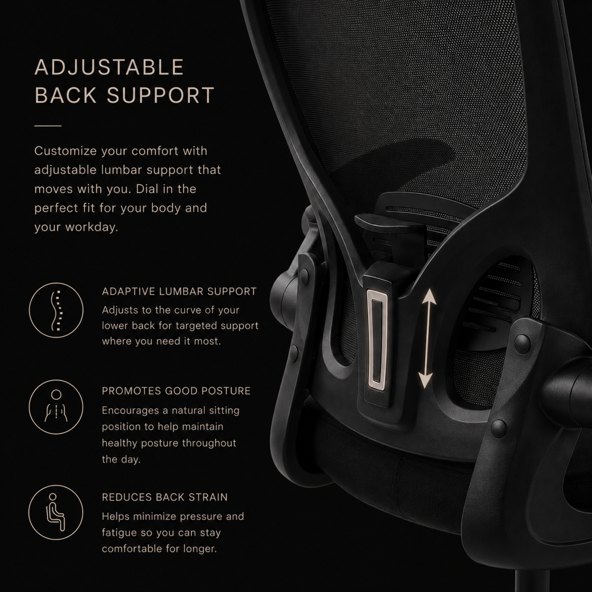 artic office chair with adjustable back and lumbar support
